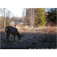 FOTOPASCA HIKMICRO M15 4G