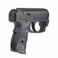 P2P PGS Personal Guard System